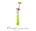 Flores del Mundo